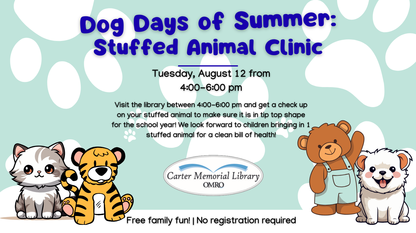 Dog Days of Summer Stuffed Animal Checkup