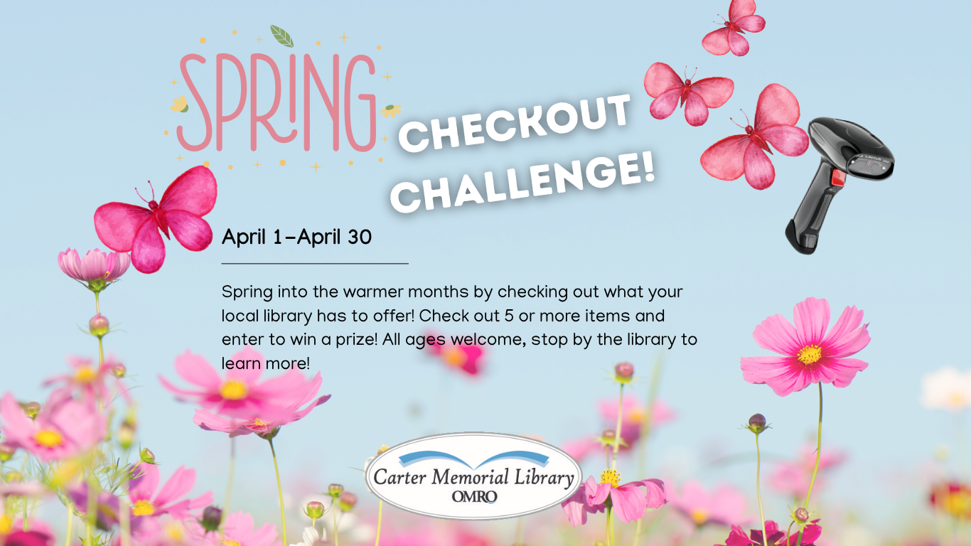 Spring checkout challenge