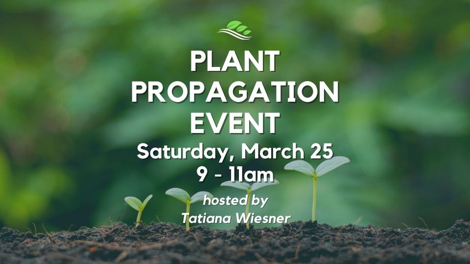 Plant Propagation Event