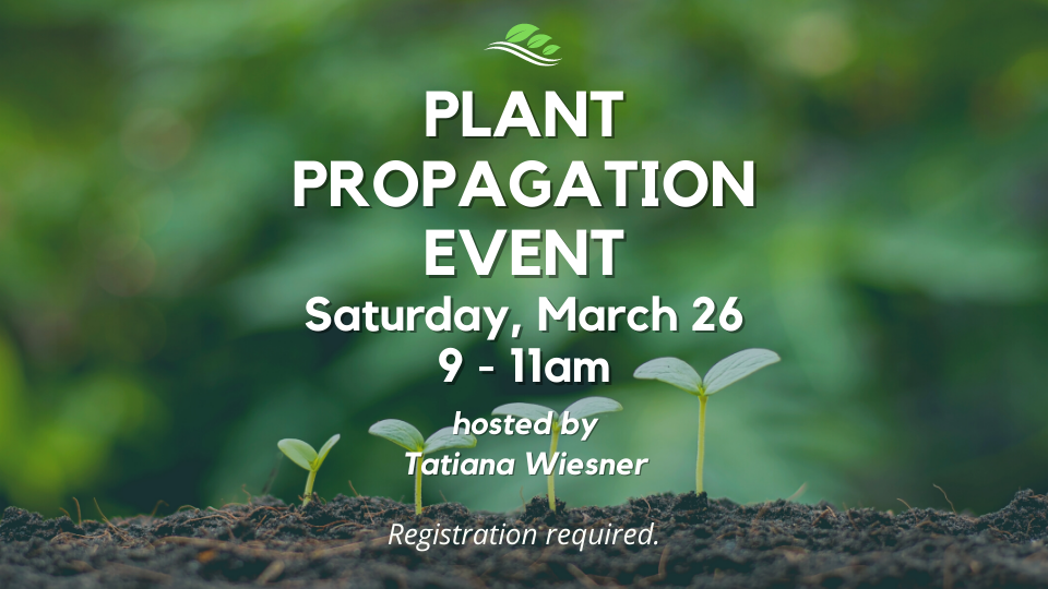 Plant Propagation Event