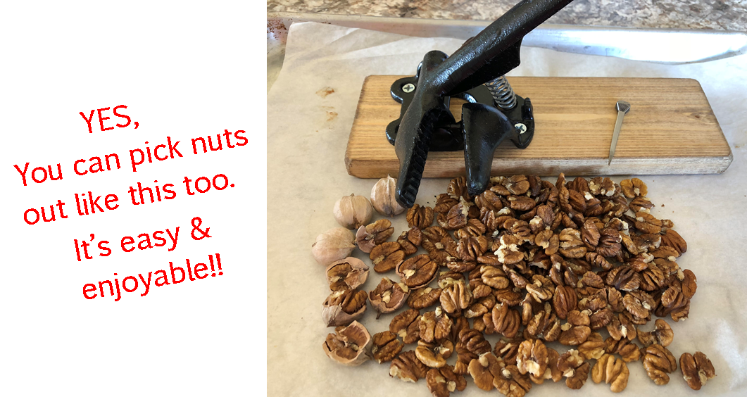 Go (Hickory) Nuts With Us!