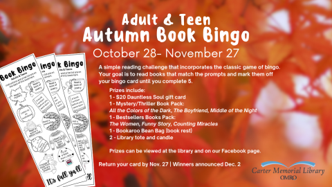 Book Bingo Poster