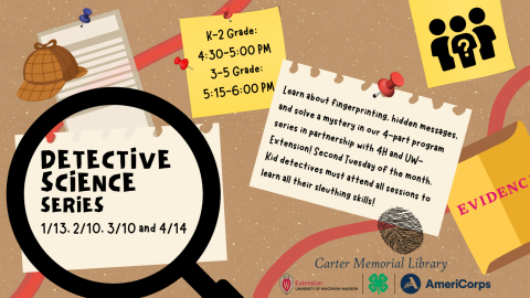 Detective Science Series